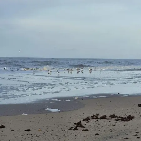 6 Person In Henne-by Traum * Henne Strand