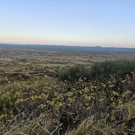 6 Person In Henne-by Traum Holiday home Henne Strand