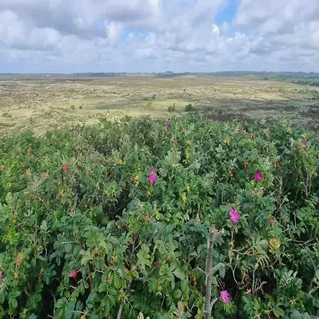 6 Person In Henne-by Traum Holiday home