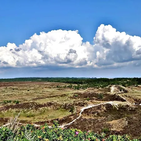 Holiday home 6 Person In Henne-by Traum *