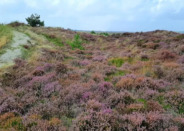 6 Person In Henne-by Traum