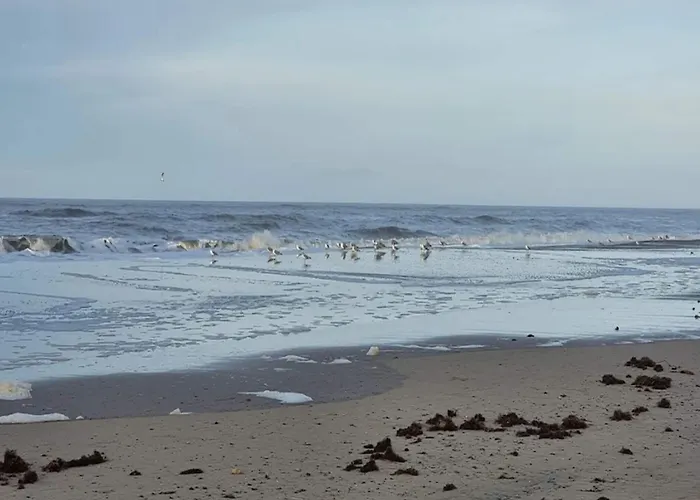 6 Person In Henne-by Traum * Henne Strand