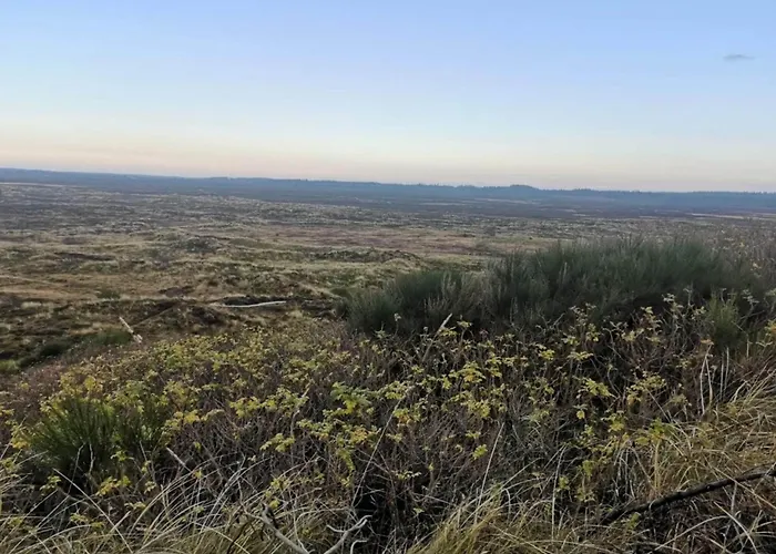 6 Person In Henne-by Traum Holiday home Henne Strand