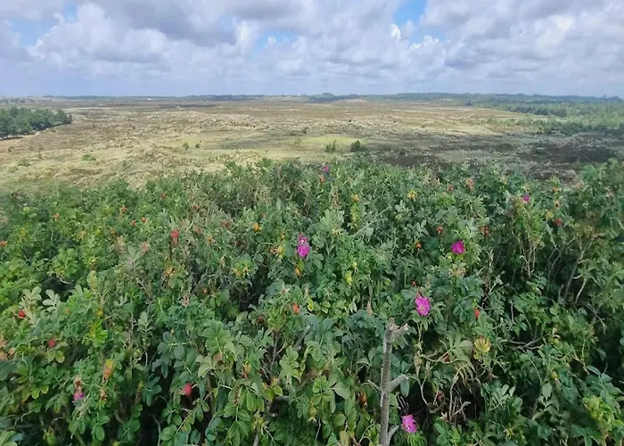 6 Person In Henne-by Traum Holiday home