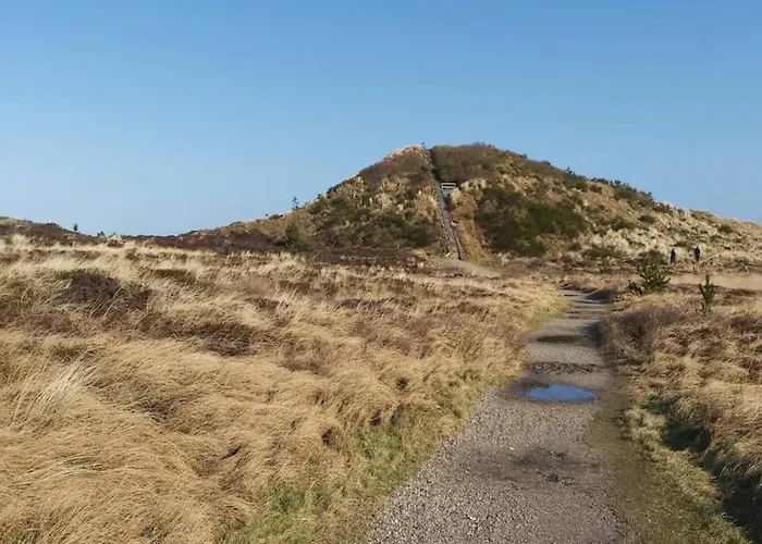 Holiday home 6 Person In Henne-by Traum