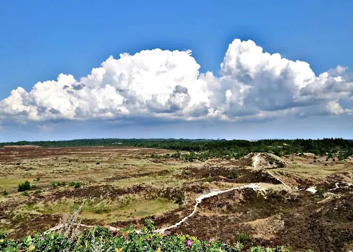 Holiday home 6 Person In Henne-by Traum *