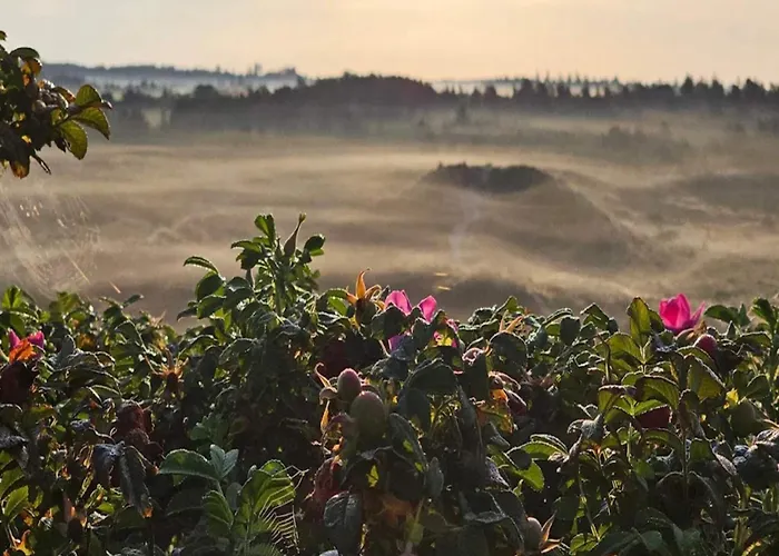 6 Person In Henne-by Traum Holiday home Henne Strand