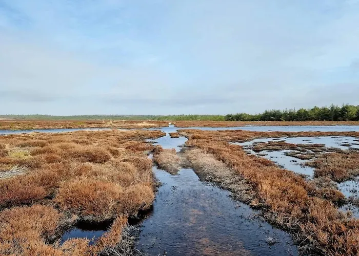 6 Person In Henne-by Traum * Henne Strand