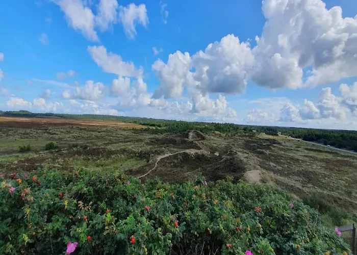 Holiday home 6 Person In Henne-by Traum