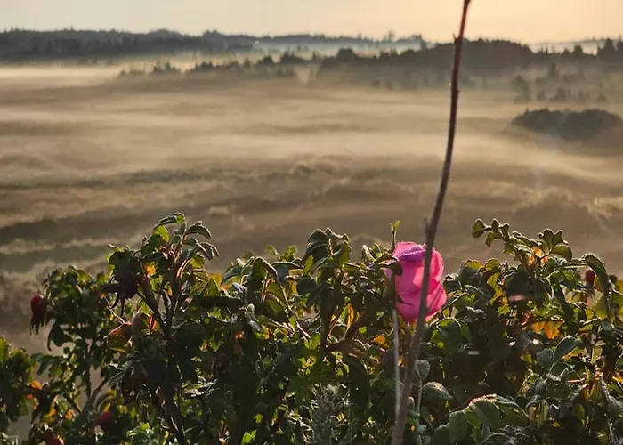 6 Person In Henne-by Traum * Henne Strand