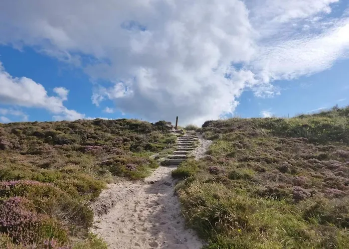 6 Person In Henne-by Traum