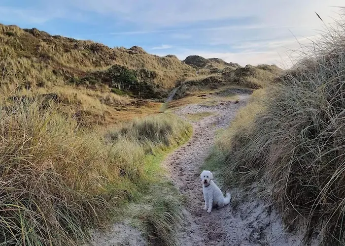 6 Person In Henne-by Traum Holiday home