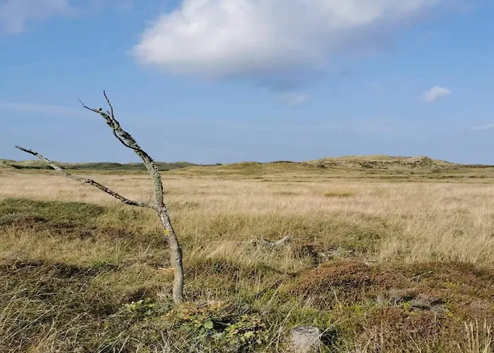 Holiday home 6 Person In Henne-by Traum