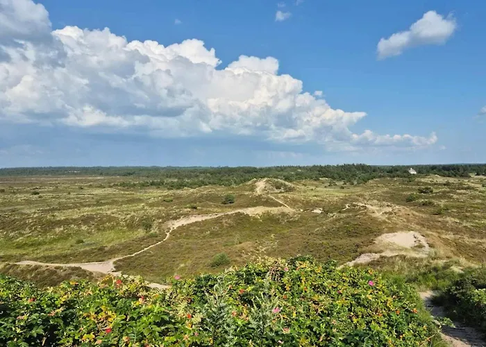 6 Person In Henne-by Traum *