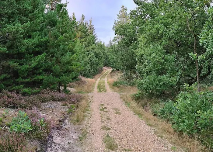 6 Person In Henne-by Traum