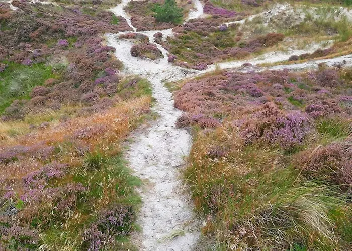 Holiday home 6 Person In Henne-by Traum Henne Strand