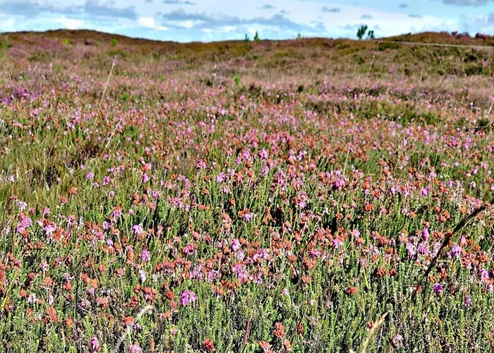 6 Person In Henne-by Traum Holiday home