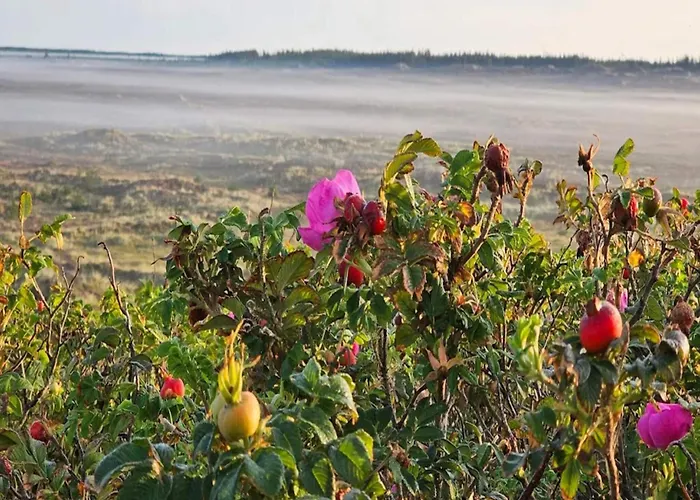 6 Person In Henne-by Traum Holiday home *