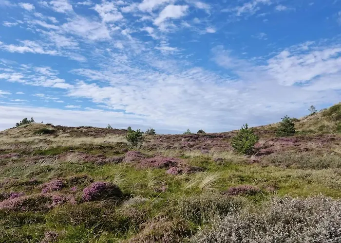 Holiday home 6 Person In Henne-by Traum Henne Strand