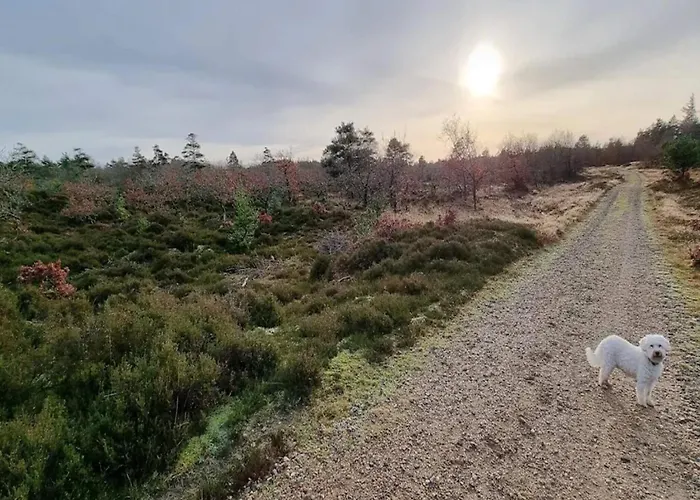 6 Person In Henne-by Traum *